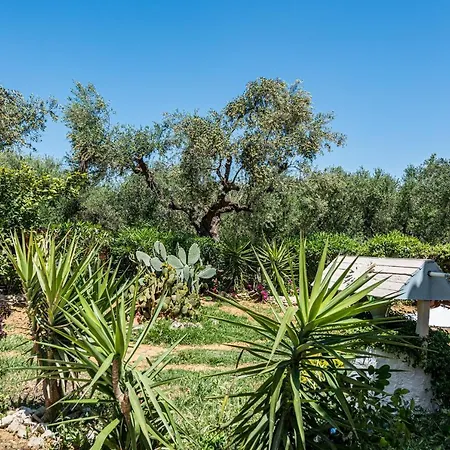 فيلة Casa Koukounaria Lithakia (Zakynthos)
