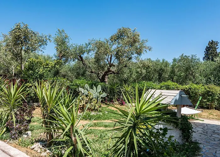 ヴィラ Casa Koukounaria Lithakia